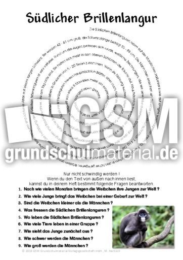 Südlicher Brillenlangur.pdf
